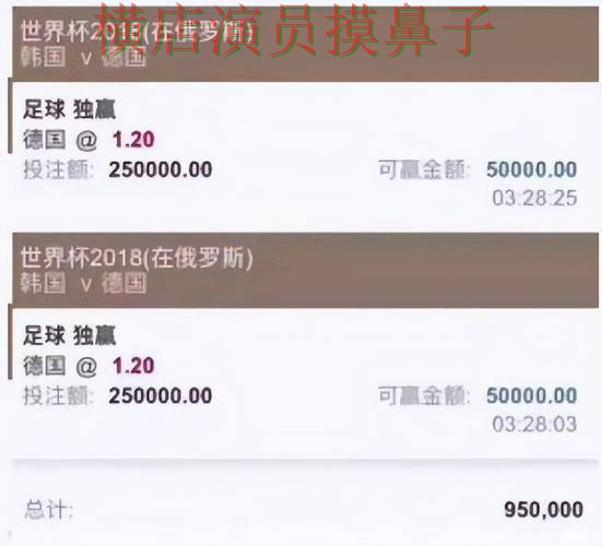 盘点分析世界杯买球平台：从数据分析到使用全流程解析 - 世界杯直播